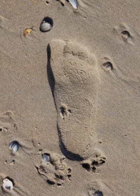 beach-water-nature-sand-rock-wave-1173982-pxhere